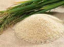 فواید خاص برنج در بدن