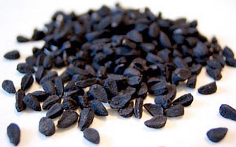 فروش و پخش عمده سیاه دانه بازرگانی روغن دهکده ، صادر کننده دانه های روغنی سیاه دانه، یا ((شونیز)) گیاهی یک ‌ساله و گلدار و بومی جنوب غربی آسیا است