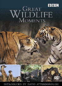 بی نظیرترین صحنه های حیات وحش-مستند-Great Wildlife Moments-BBC-راز بقا