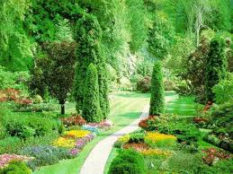 آموزش اسرار باغبانی وآموزش اصول باغبانی و گل کاری وطراحی فضای سبز