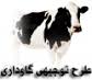 آموزش نگهداری از گاو-آموزش نگهداری از گاو شیری-amoozesh parvaresh gav-کار در خانه-طرح نوجیهی کار در خانه-طرح توجیهی-آموزش کسب درآمد-پرورش گاو شیری
