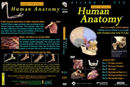 اطلس کامل آناتومی و تشریح بدن انسان